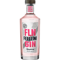 Джин Филлини Распберри 38% 0,7л Россия