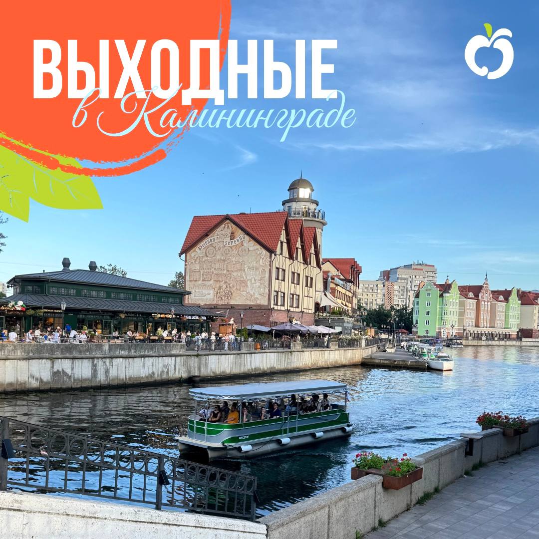 Куда сходить в Калининграде на выходных? Куда сходить в Калининграде на выходных?
