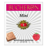 Ш/д Бушерон мини молочный Малина 45г