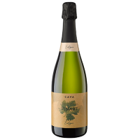 Вино игр Кава Винарт Эколоджико бел/брют 11,5% 0,75л Испания