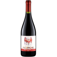 Вино Пикунче Каберне Совиньон Валье Сентраль кр/сух 12,5% 0,75л Чили